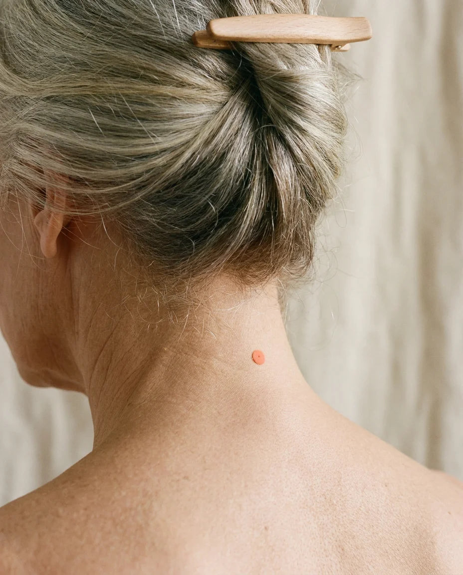 The back of the neck